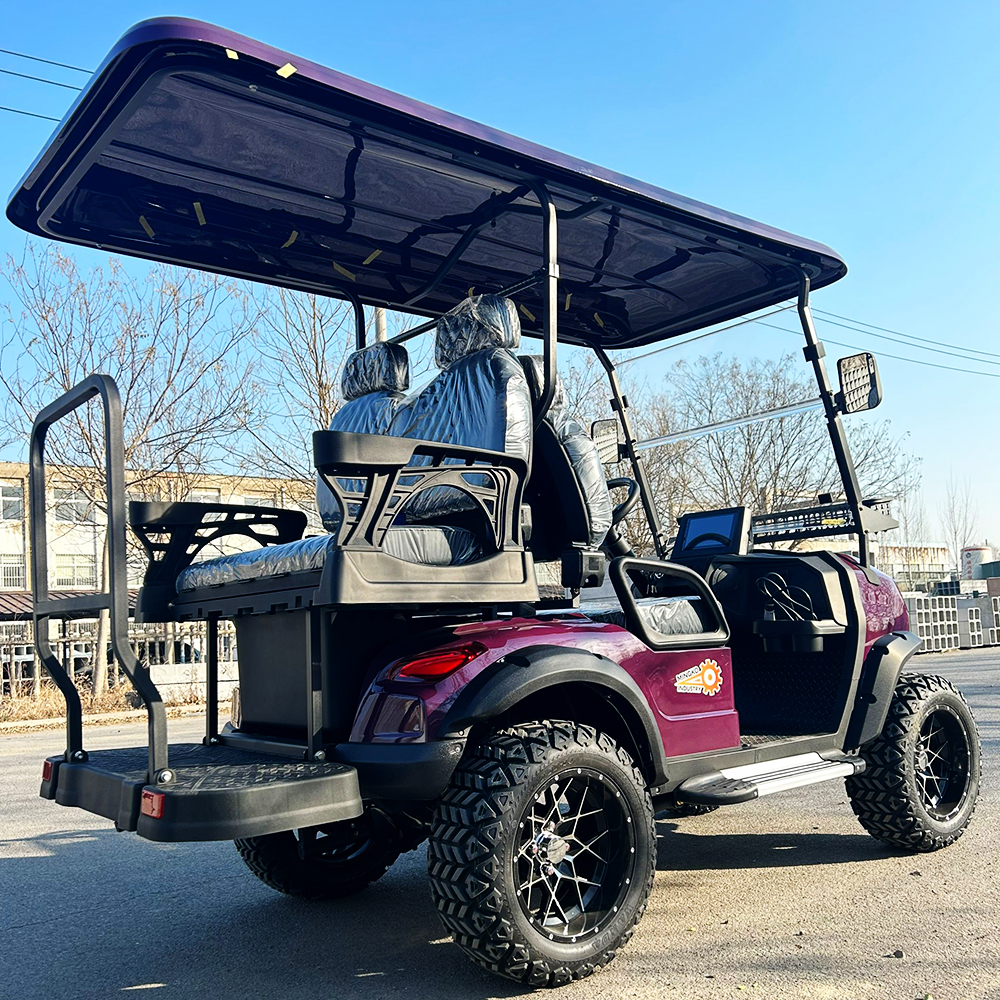 Heavy Duty Electric Drive with Off Road Tires Cart Golf
