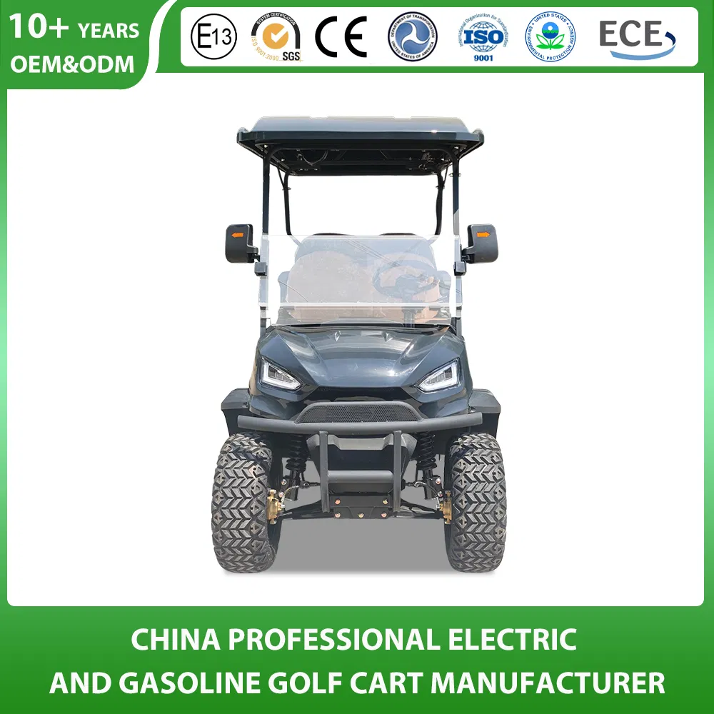 Shining Brand Golf Buggy Manfuacturer Customized 2+2 4 Seat Electric Buggy Hunting Utility 4 Wheel Lithium Battery Electric Motors Trolley Electric Golf Cart
