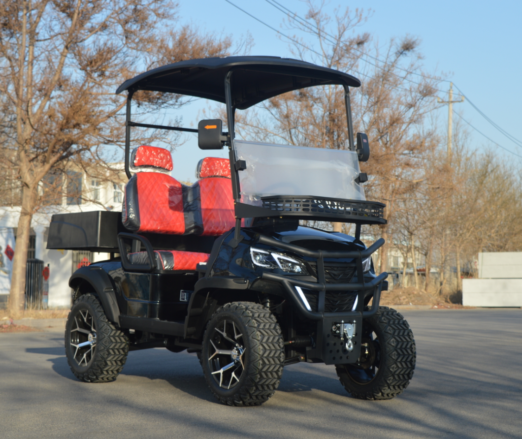 Europe Canada Hot Selling Electric 2 Seats Mini Lithium Battery Golf Cart GPS Navigation 3.5-7.5 Kw Motor 90km Range for