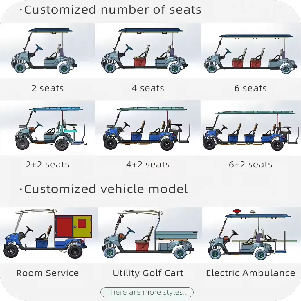 High-Performance Electric Carts with 7 5kw Motor and Custom Options