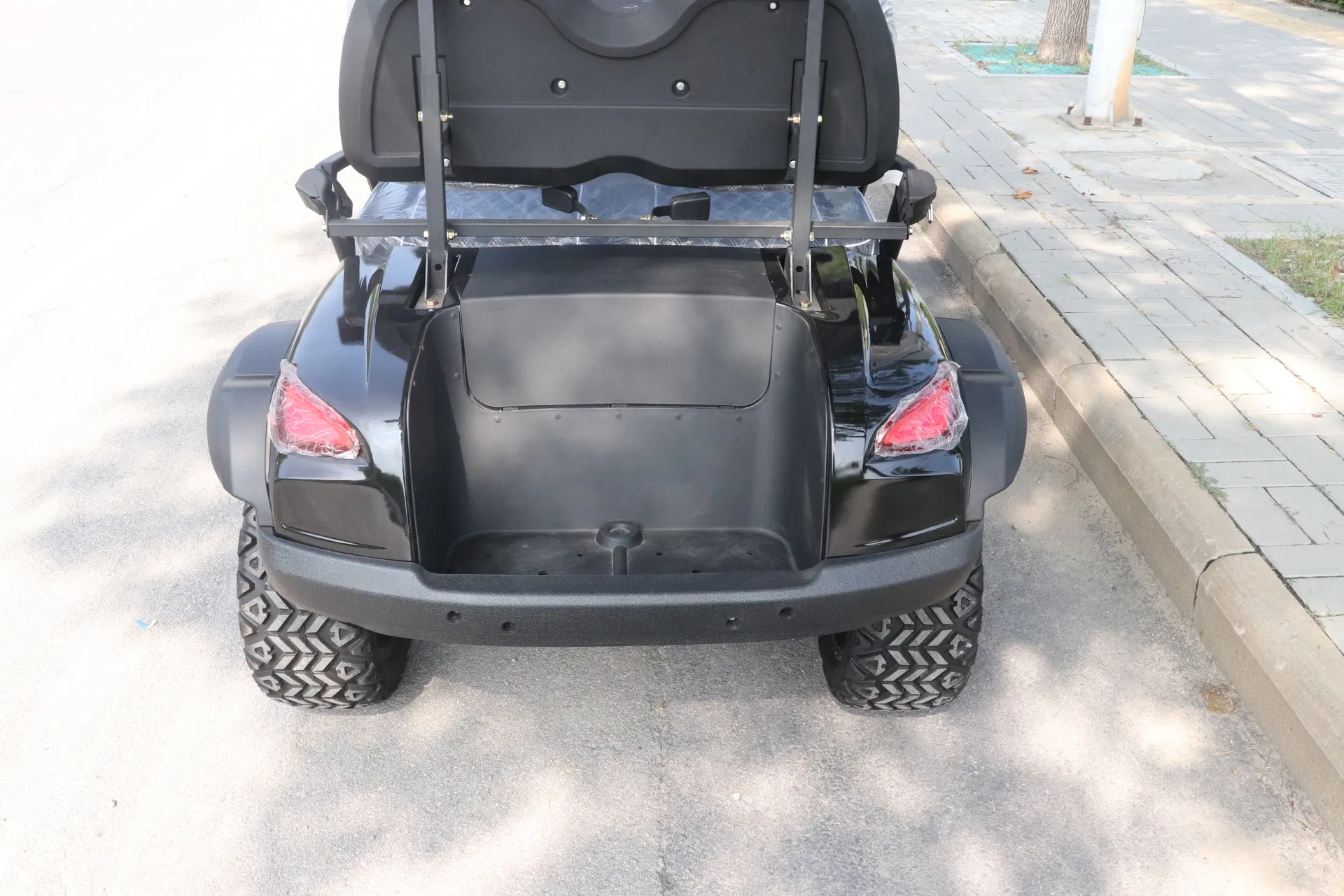 off-Road Golf Cart with Suspension for Comfort