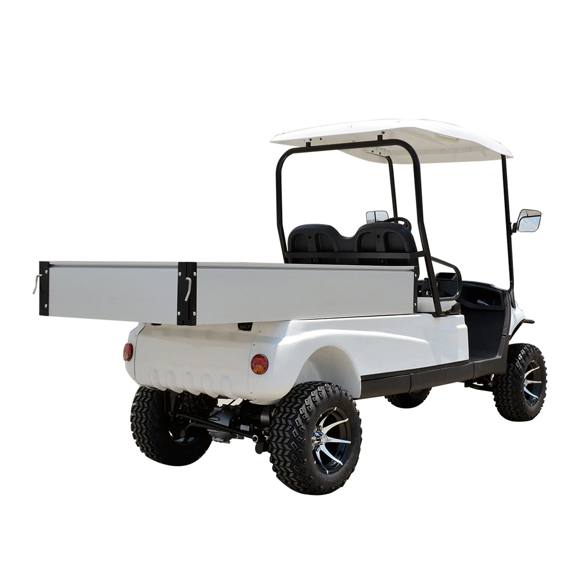 Electric Powered Utility Golf Cart 2 Passenger with Rear Cargo Bed