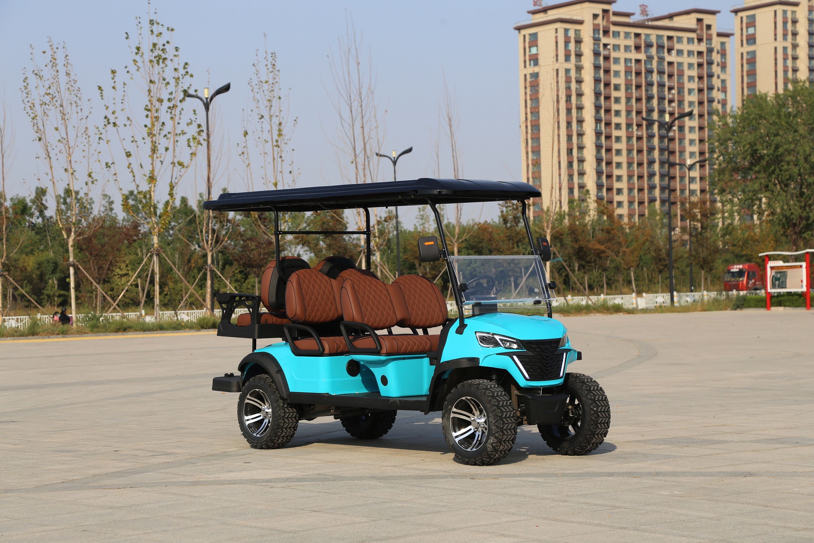 Golf Car Detail 3