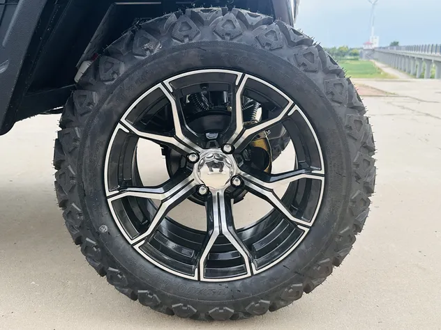 Powerful Smooth Stable High-Performance Low-Speed Electric Community Cart with off-Road Tire