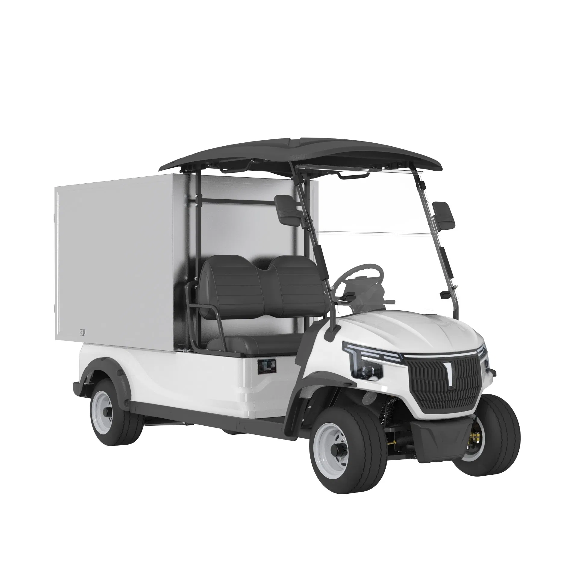 Electric Utility Cart with Fixed Cargo Box 2-Seater Golf Cart with Freight Cargo Electric Work Vehicle