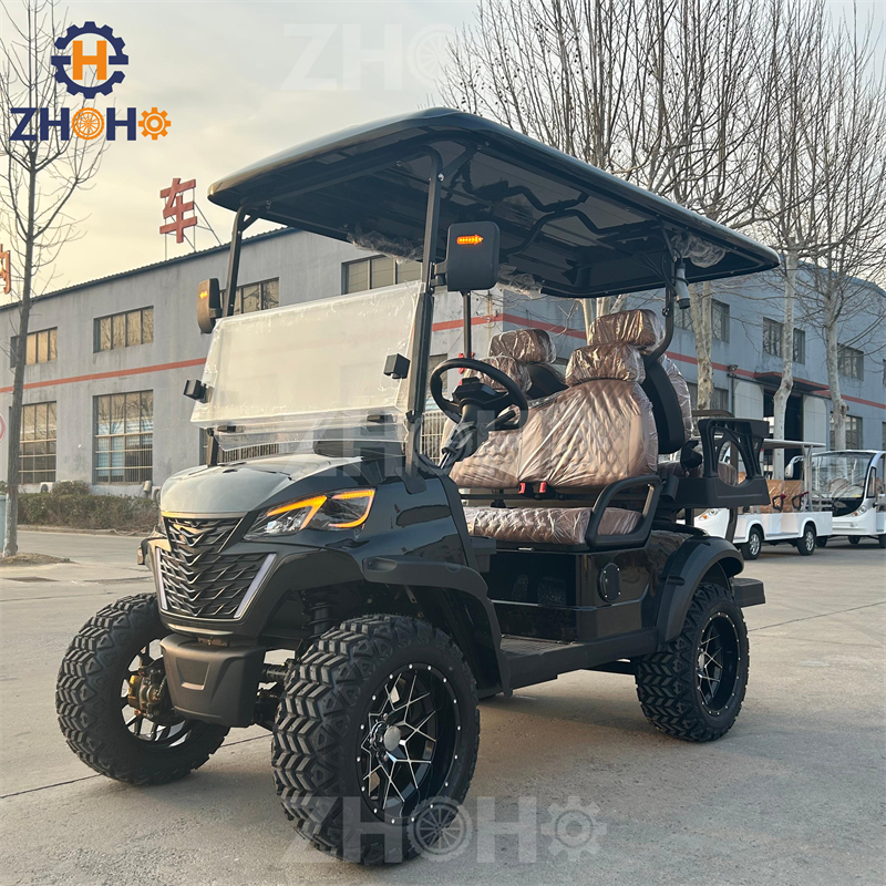 Golf Cart Custom Feature 9