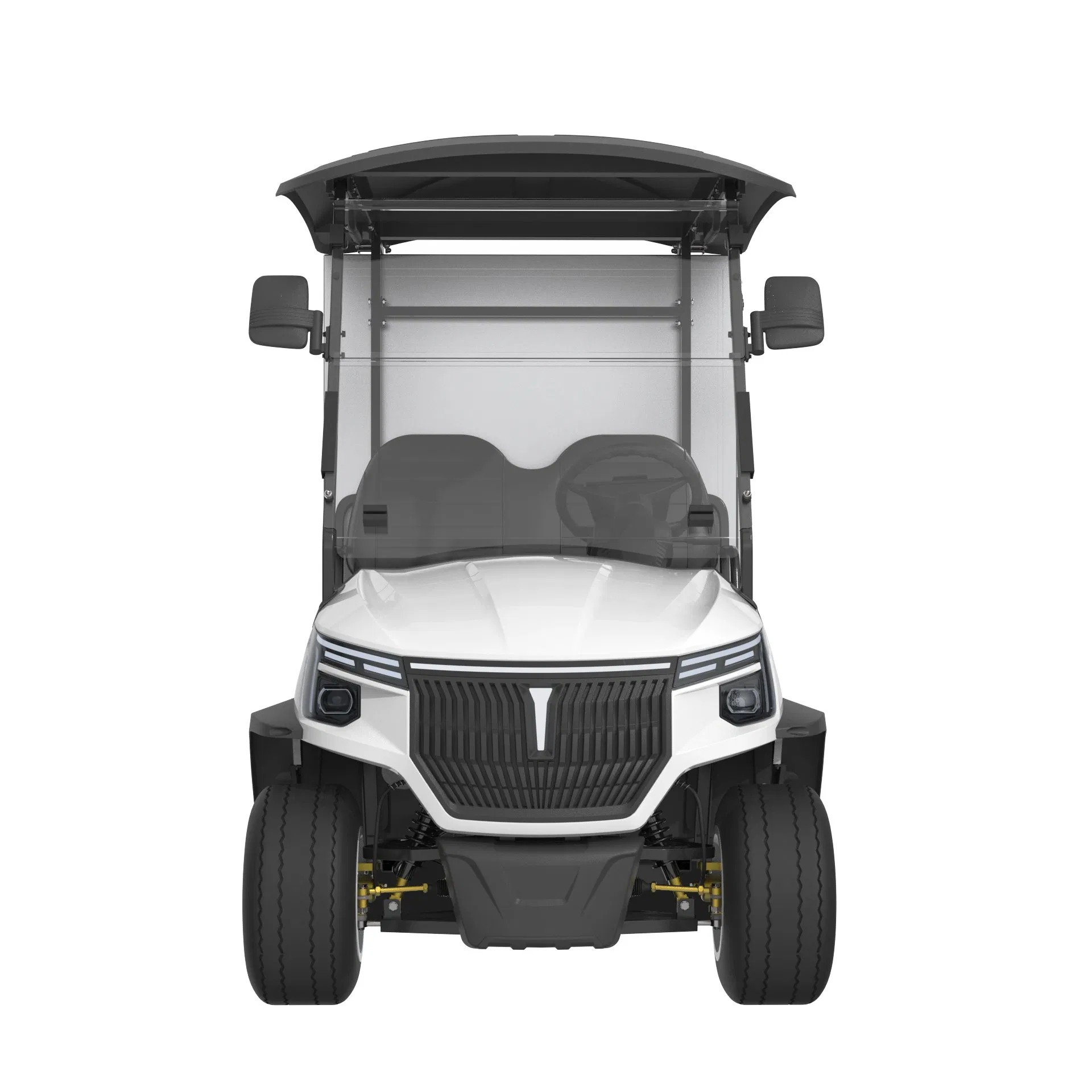 Electric Utility Cart with Fixed Cargo Box 2-Seater Golf Cart with Freight Cargo Electric Work Vehicle