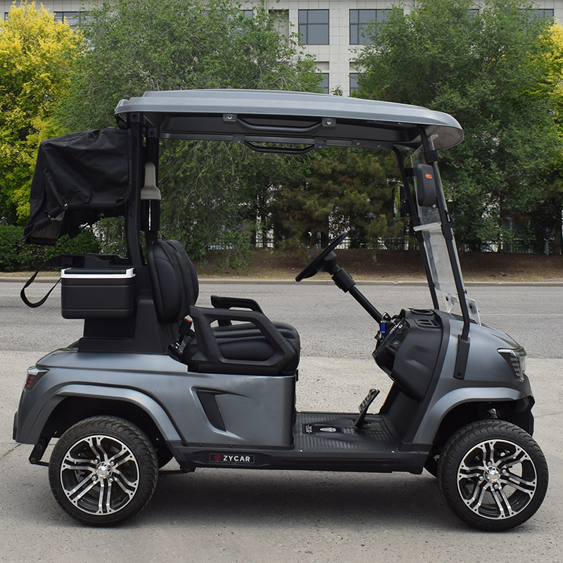Customizable 2-Seater Electric Utility Golf Cart, Lithium Battery Golf Buggy For Sale