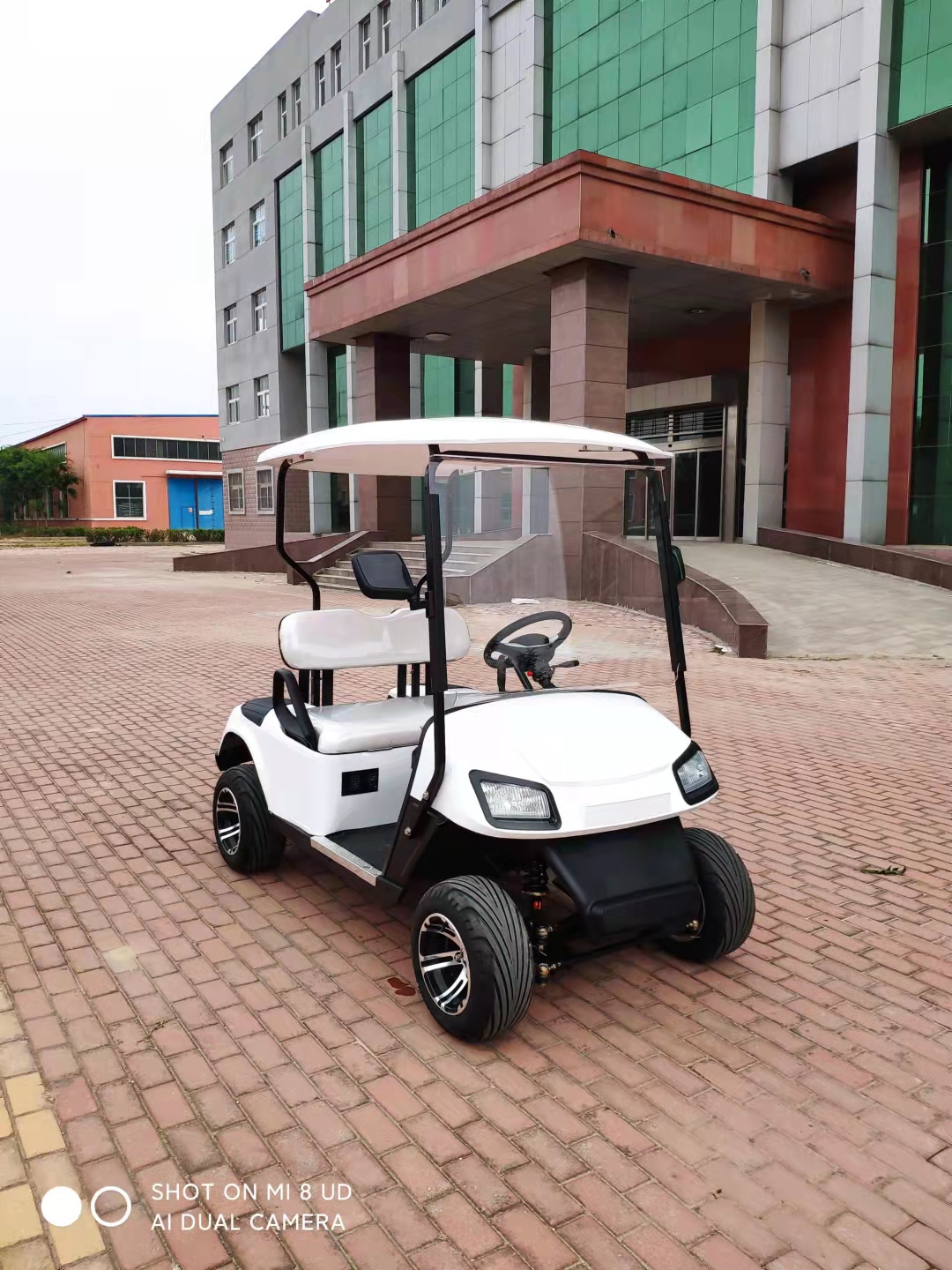 Sharefer Club Golf Cart Custom Electric Street Legal Golf Cart 2 Seater Off-road Electric Lifted Golf Cart