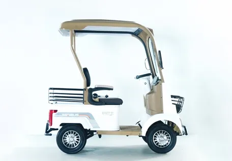 Luxurious A2 Dual-Brake Electric Golf Buggies Cart for 45km Long