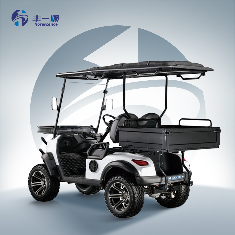2 Seater Electric Golf Cart With Powerful Motor for Steep Hills and Heavy Loads at Parks Tourist Attractions and Airports
