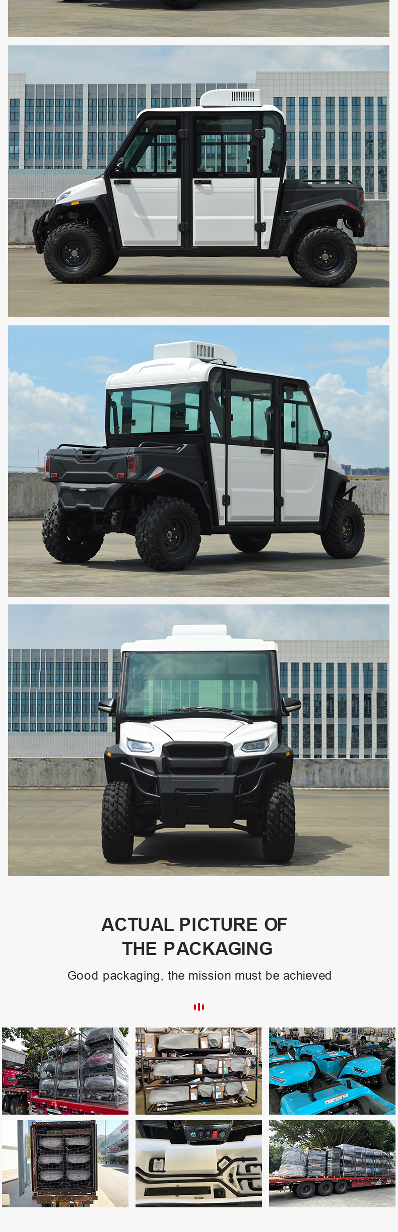 Electric golf buggy details