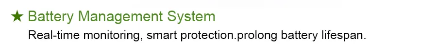 BMS Monitoring System