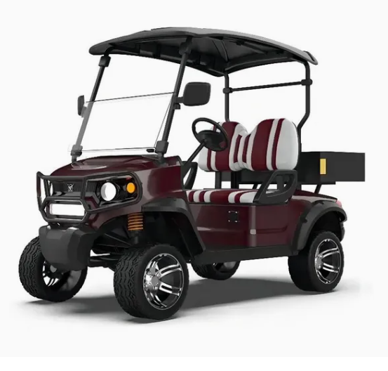 Luxury 2-Seater Electric Comfort-Oriented Golf Cart with 3500W-7500W Motor and Lithium Battery
