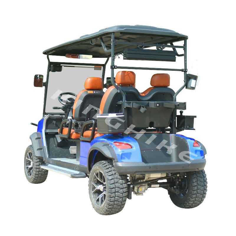 Premium 48V Street-Legal 6-Seater Electric Golf Cart with Custom Styling and Optional 4-Seat Configuration