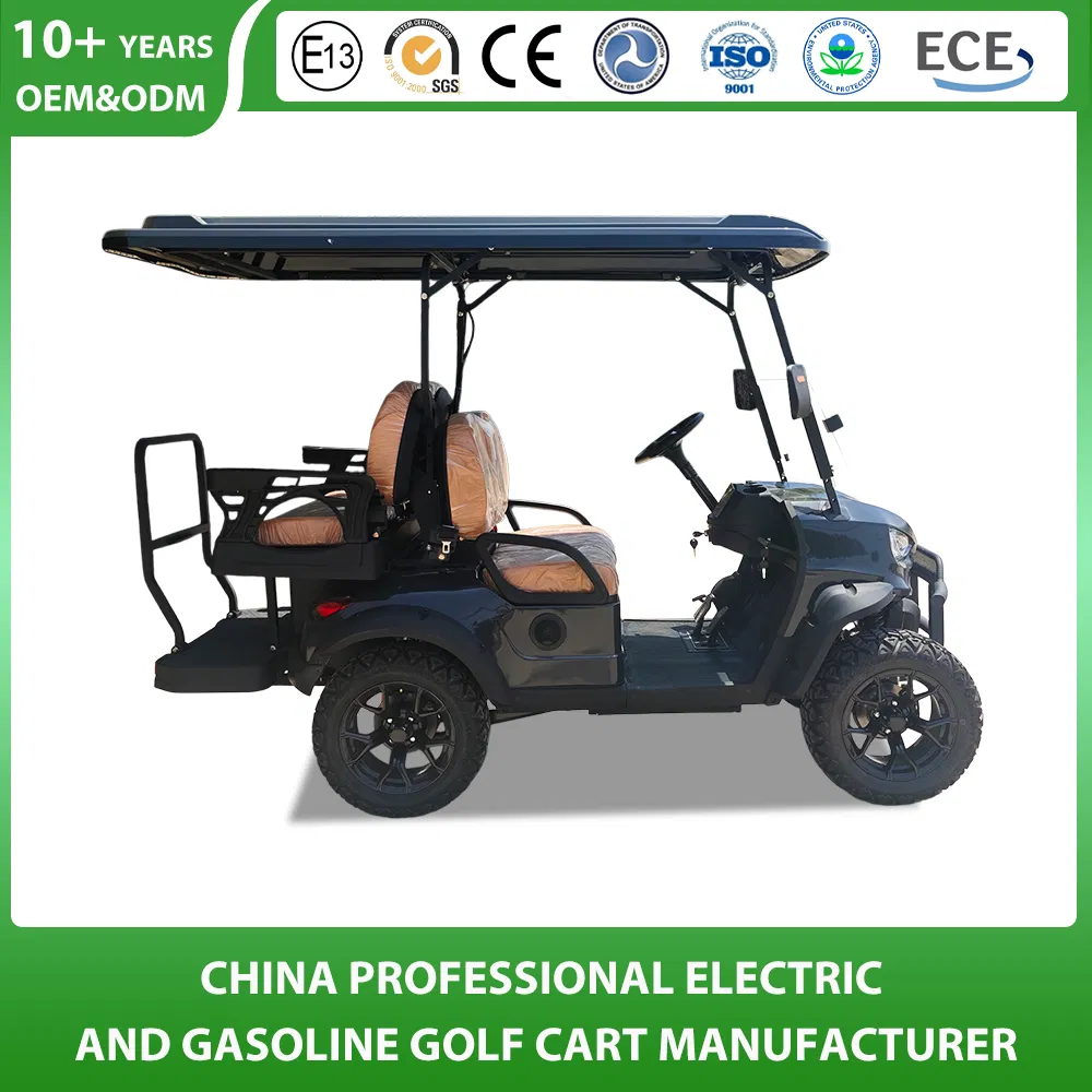 Shining Brand Golf Buggy Manfuacturer Customized 2+2 4 Seat Electric Buggy Hunting Utility 4 Wheel Lithium Battery Electric Motors Trolley Electric Golf Cart