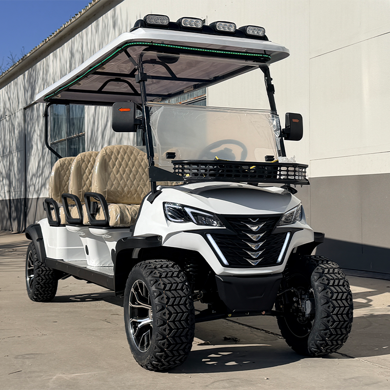 Luxury 2025 Sdlanch Sdlgc100 6 Passenger Golf Cart Classic Car Golf Cart Street-Legal Electric Vehicle for Community Transport