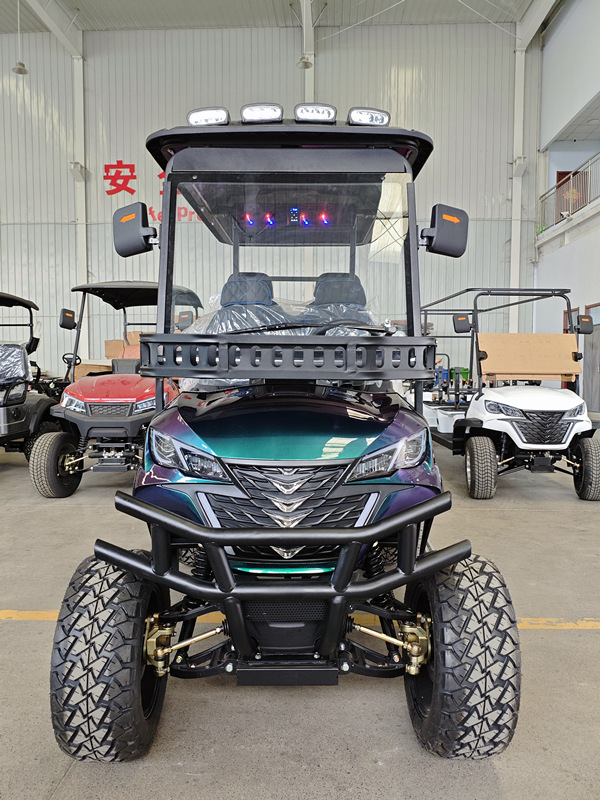 Electric Golf Cart Detail 1