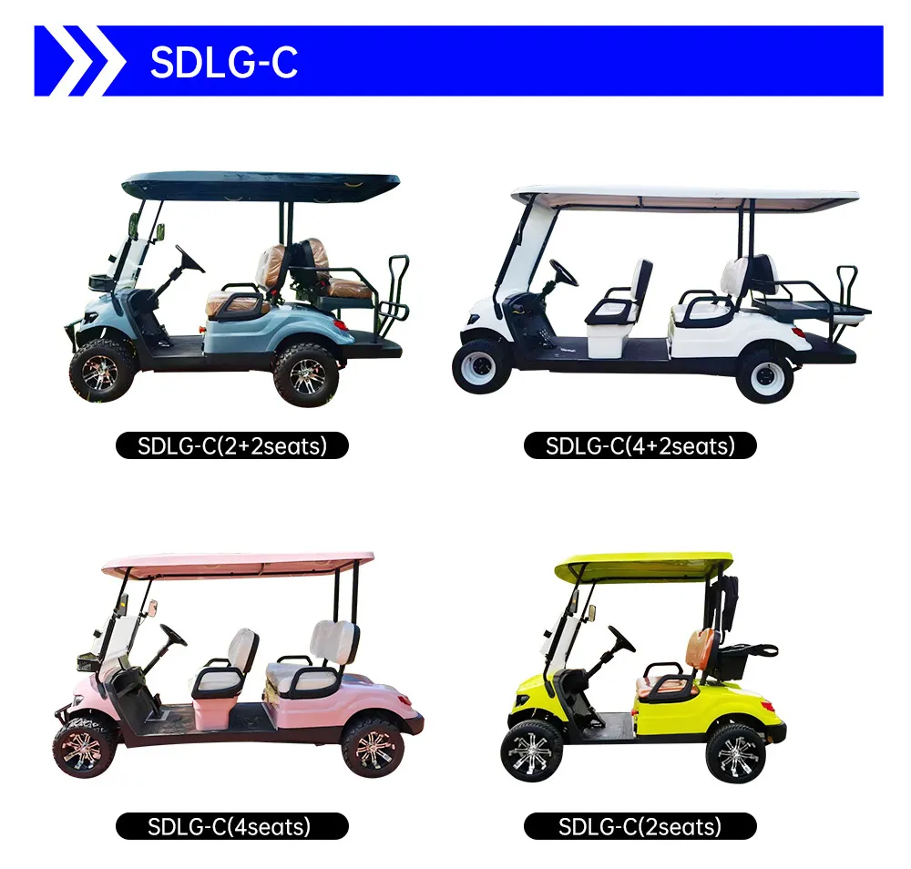 Electric Golf Cart Luxury Seats and Rear Seat Setup