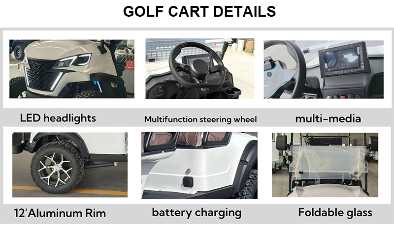 Electric vehicle wheel assembly