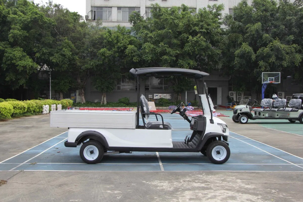 Electric Utility Cart with Fixed Cargo Box 48V Motor 2 Seater Golf Cart Mini Truck
