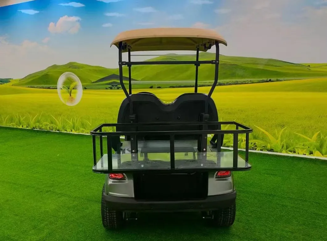 Electric Utility Cargo Golf Cart Visual Show 6