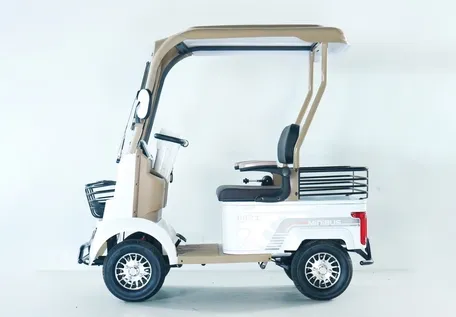 Luxurious A2 Dual-Brake Electric Golf Buggies Cart for 45km Long