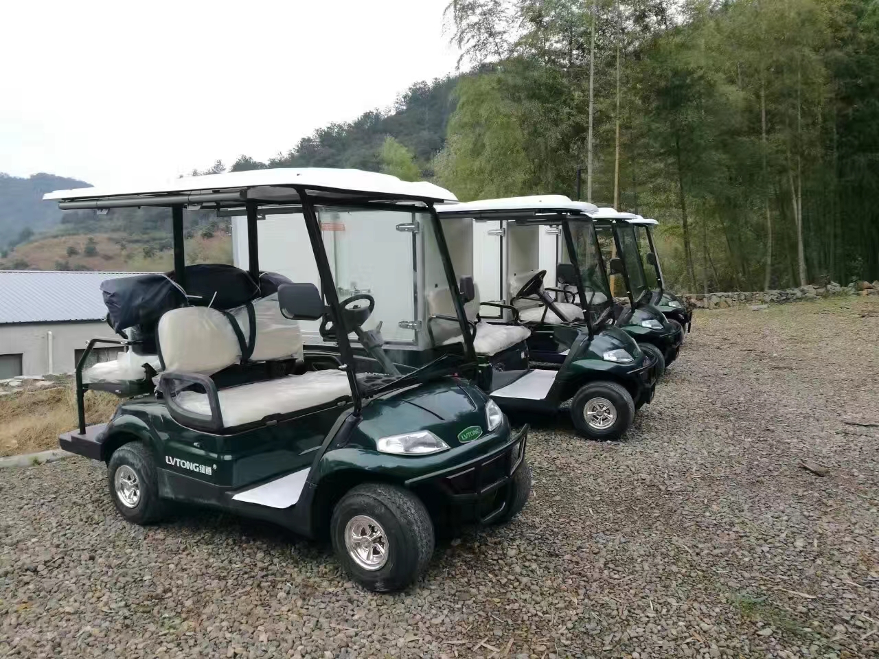 Golf Cart Image 5
