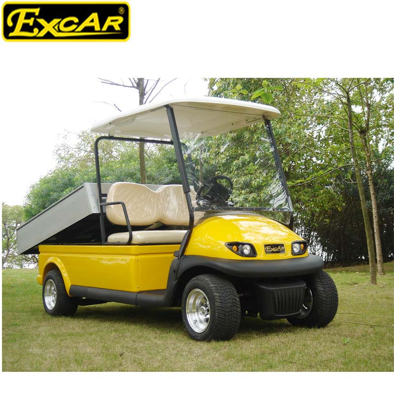 Ce Approved 2 Seater Utility Electric Golf Cart with Cargo