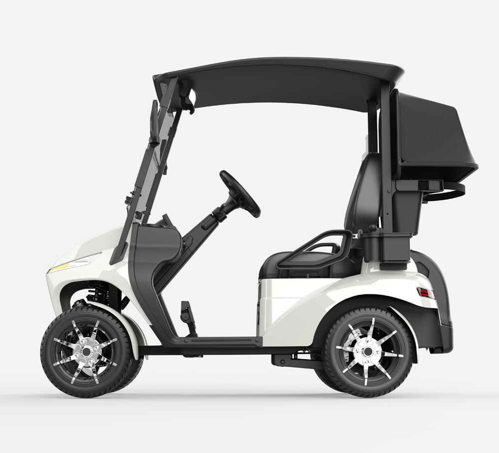 Wholesale Smart GPS Golf Cart Fleet Custom APP Multimedia Single Seat Golf Buggy OEM Personal Electric Golf Utility Vehicle