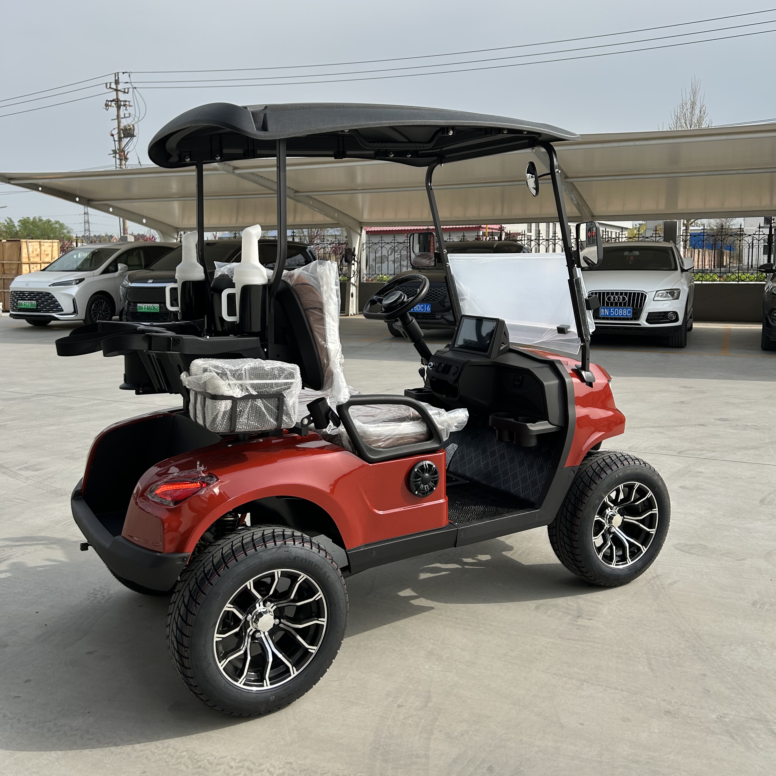 Beach Rental Buggy 2 Person Golf Cart Li-ion Battery Fast Smart Charge ATV Country Club Lifelong Service OEM Electric Vehicle
