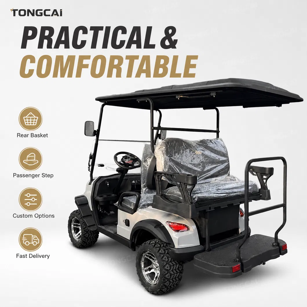 High-Performance Electric Carts with 7 5kw Motor and Custom Options