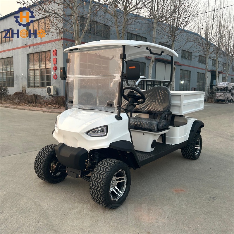 Golf Cart Custom Feature 8