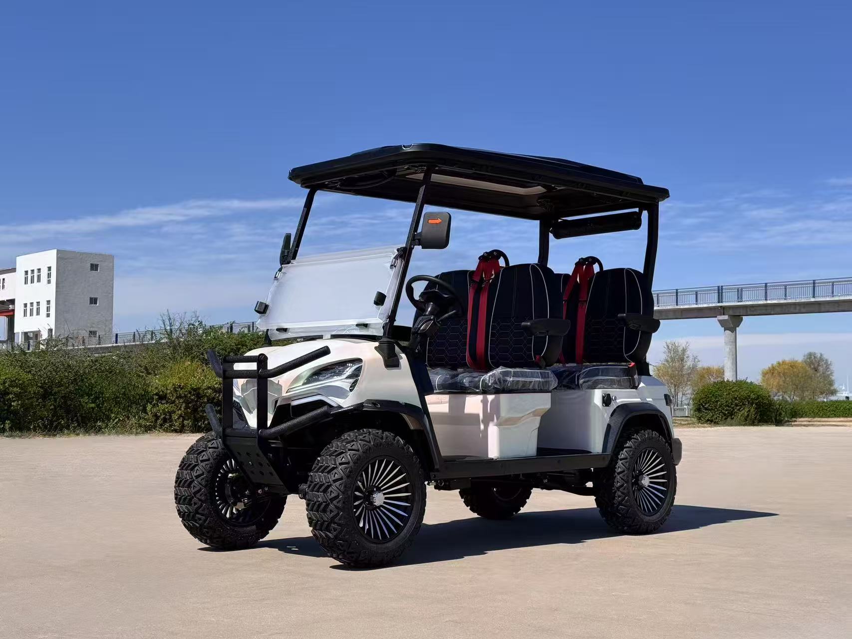 Robust Chassis 6 Seater Electric off Road Golf Cart Buggy All-Terrain Tires Forest Park Patrol Street Legal LSV Superior