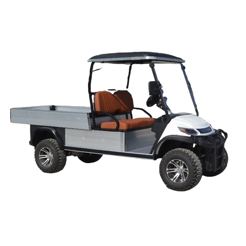 Lithium Battery 2 Seater Mini Car Golf Carts Electric with Cargo Box