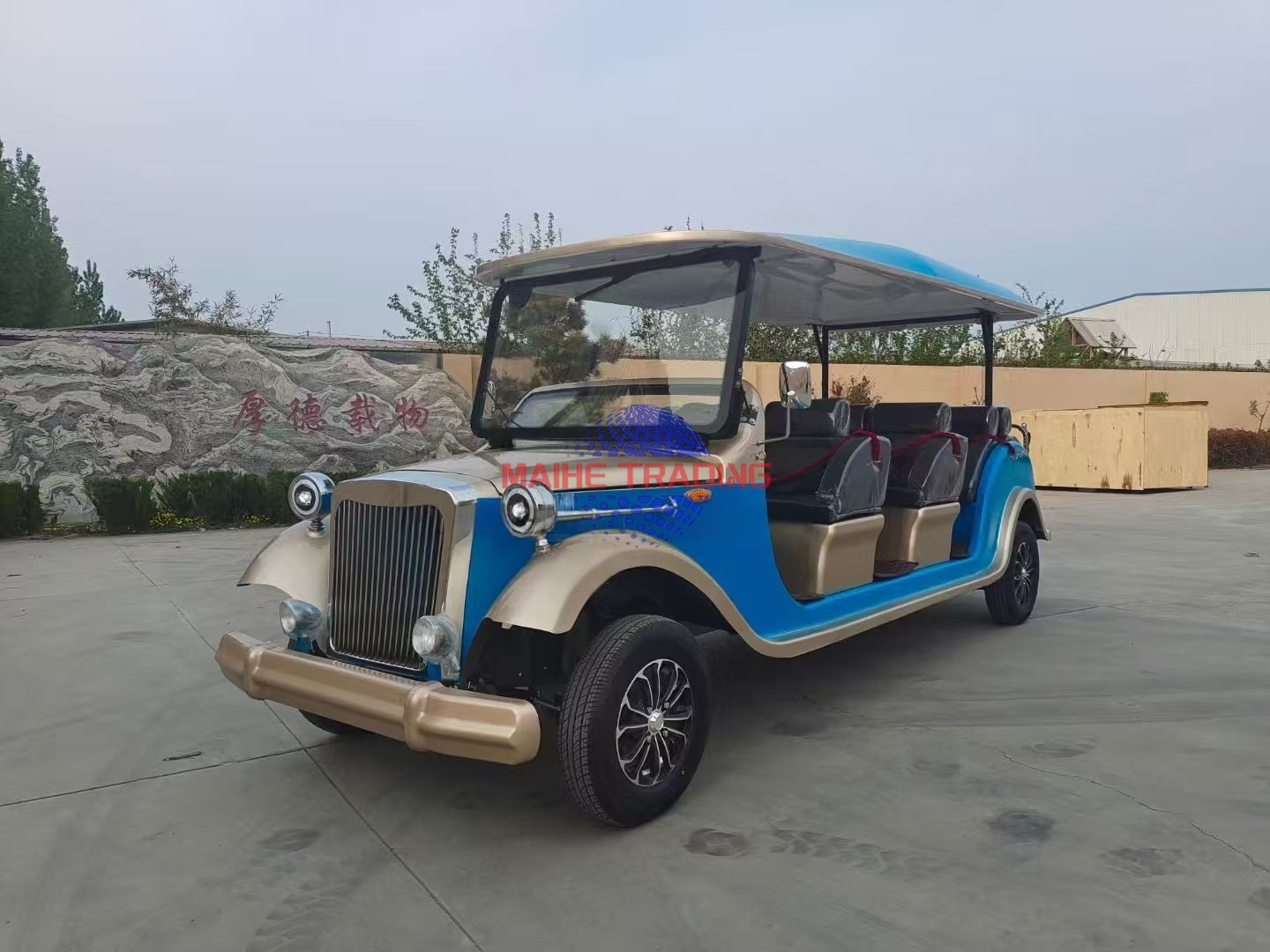 Sightseeing Car Detail 3