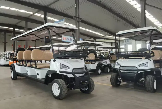 Spacious 8-Seater Golf Carts Details 3