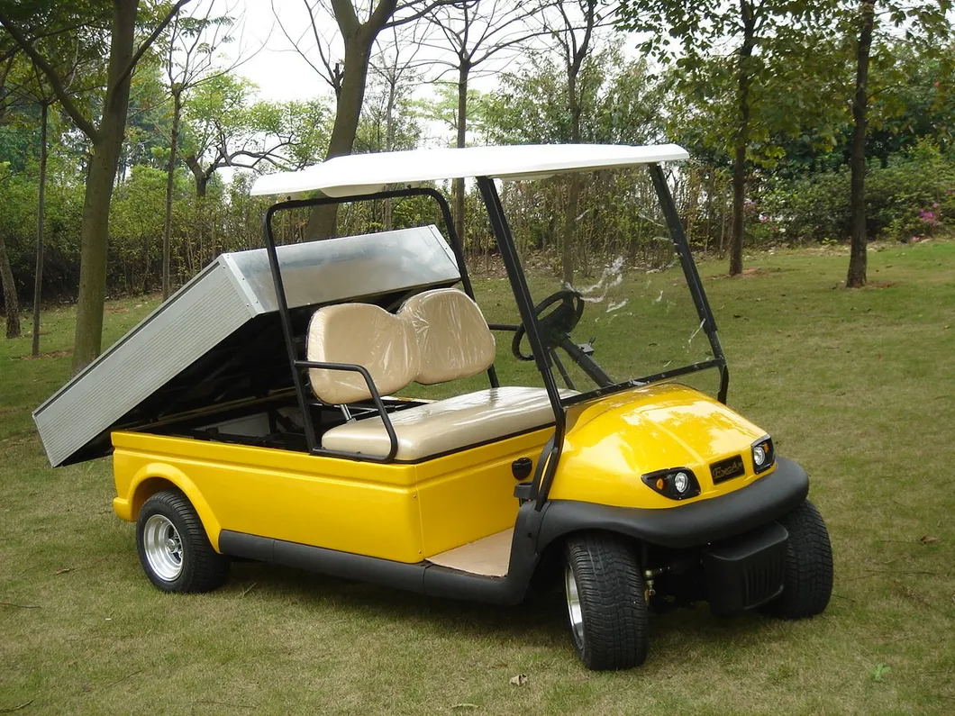 Ce Approved 2 Seater Utility Electric Golf Cart View 1
