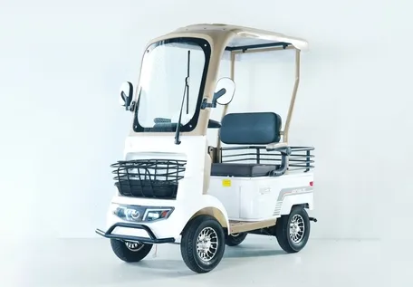 Luxurious A2 Dual-Brake Electric Golf Buggies Cart for 45km Long