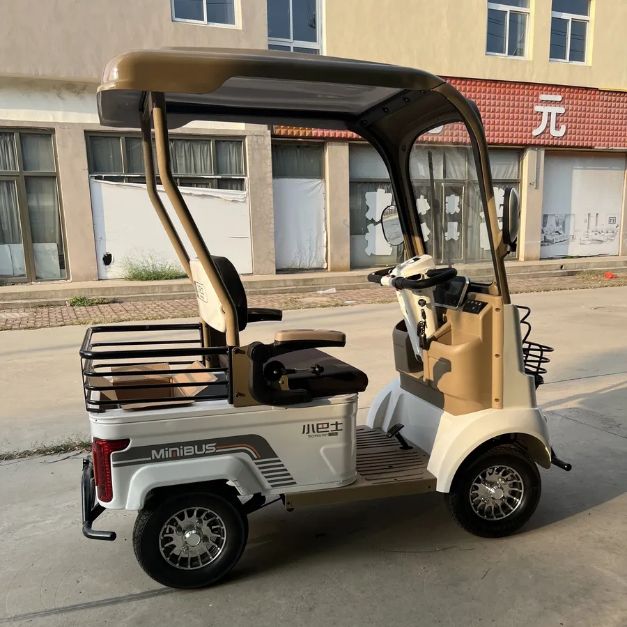 Luxurious A2 Dual-Brake Electric Golf Buggies Cart for 45km Long