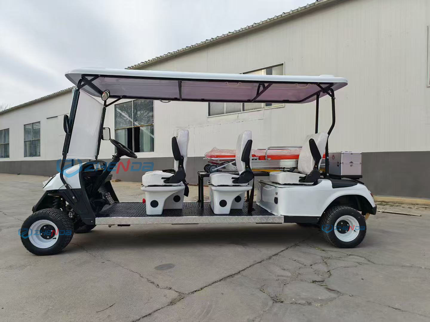 Electric Car Side View