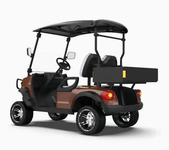 Luxury 2-Seater Electric Comfort-Oriented Golf Cart with 3500W-7500W Motor and Lithium Battery