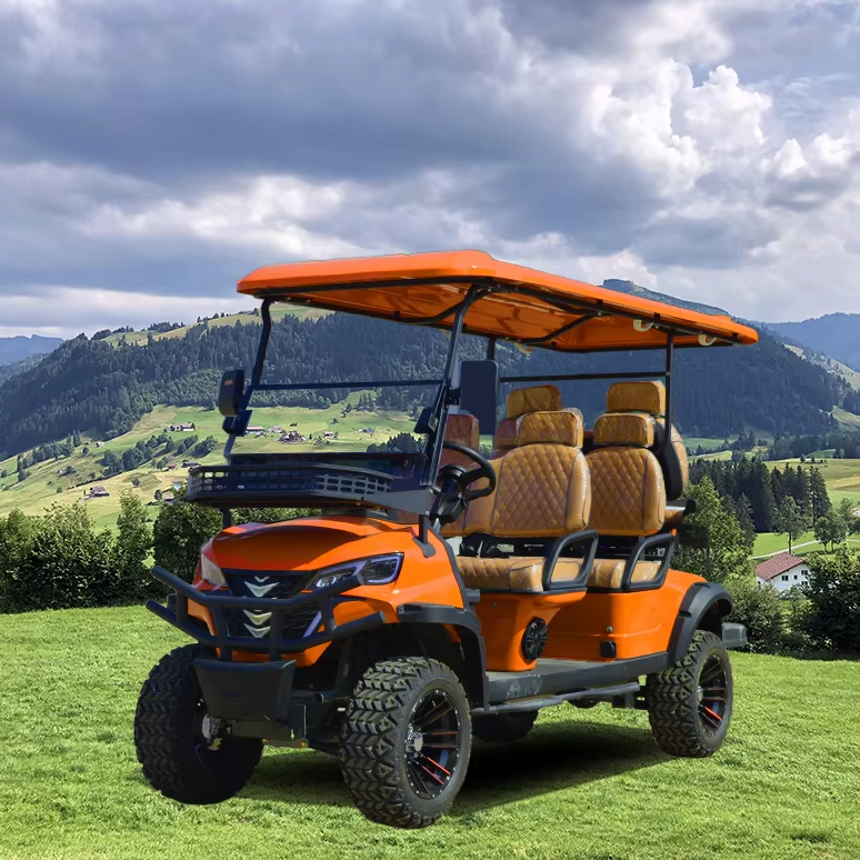 TONGCAI GPS Tracking &amp; Fleet Management 6-Seat Golf Cart for Sale