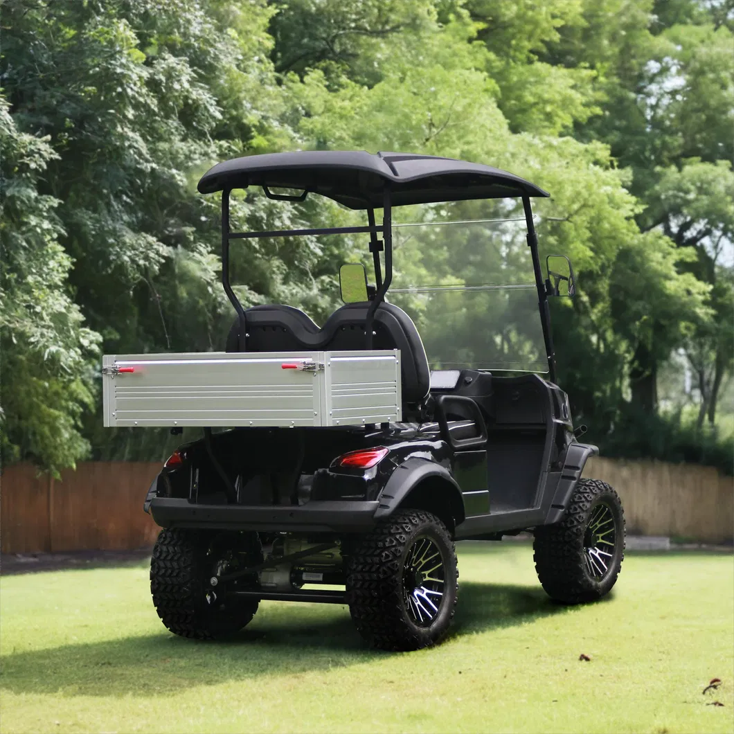 2-Passenger Utility Lifted Golf Cart Detail 6