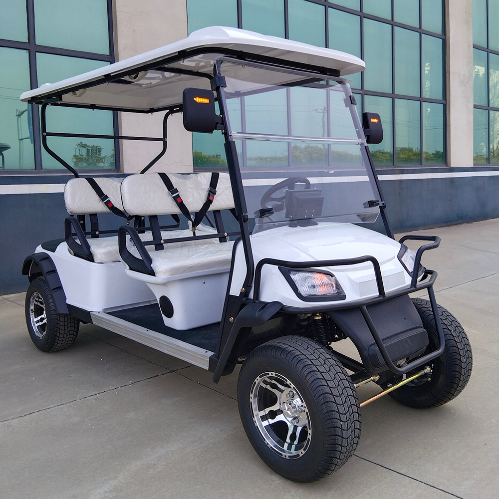 Golf Cart Gallery 5