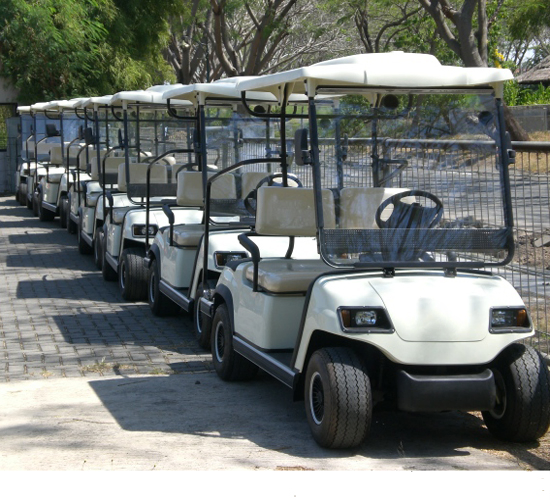 High-Performance Two-Passenger 4WD Golf Cart for Outdoor Adventures