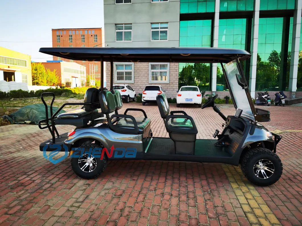 Electric Golf Cart Detail 1