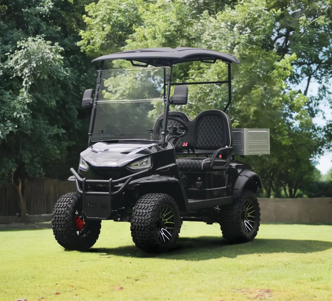 2-Passenger Utility Lifted Golf Cart Detail 5