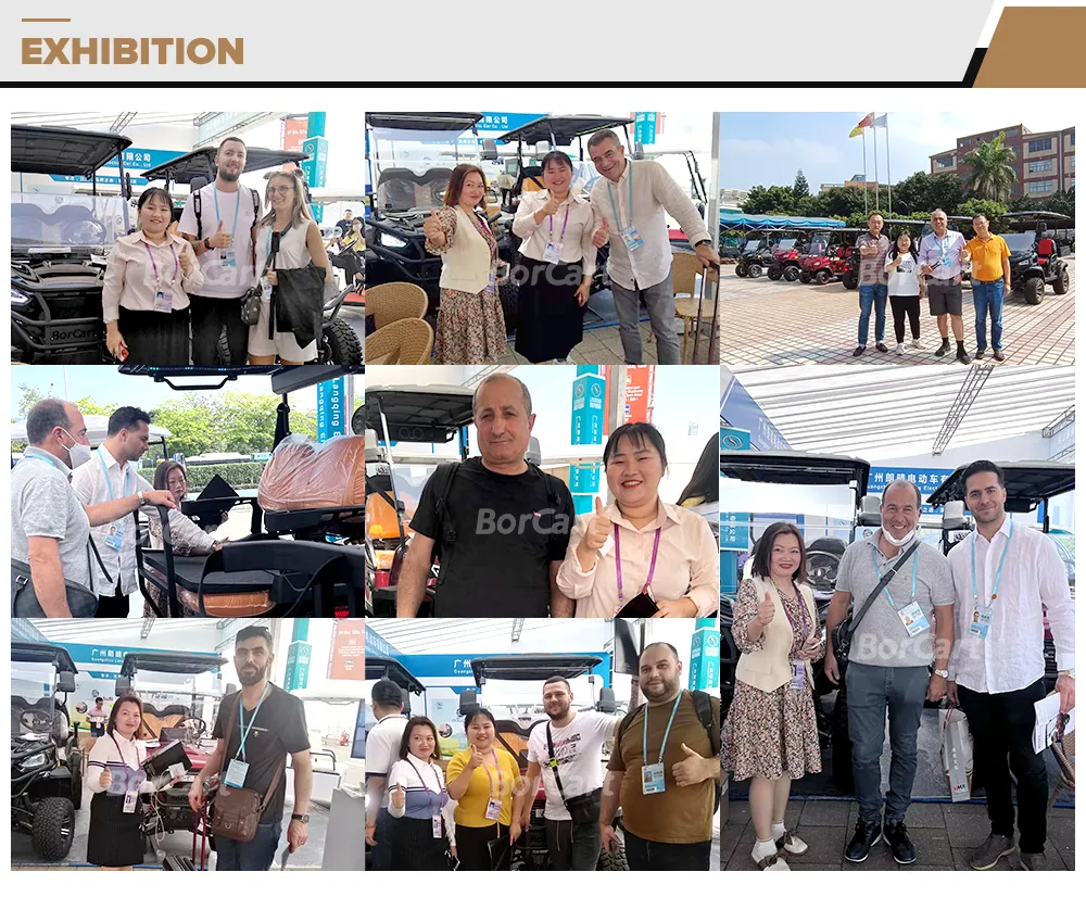 Custom High Performance High Speed Electric Golf Carts 6 Seat Carro De Golfe Hunting Buggy Cart for Sale