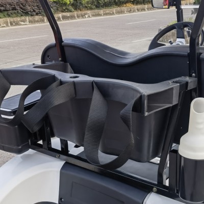 Mini Electric or Gasoline Powered 2 Seater Small Golf Buggy Cart